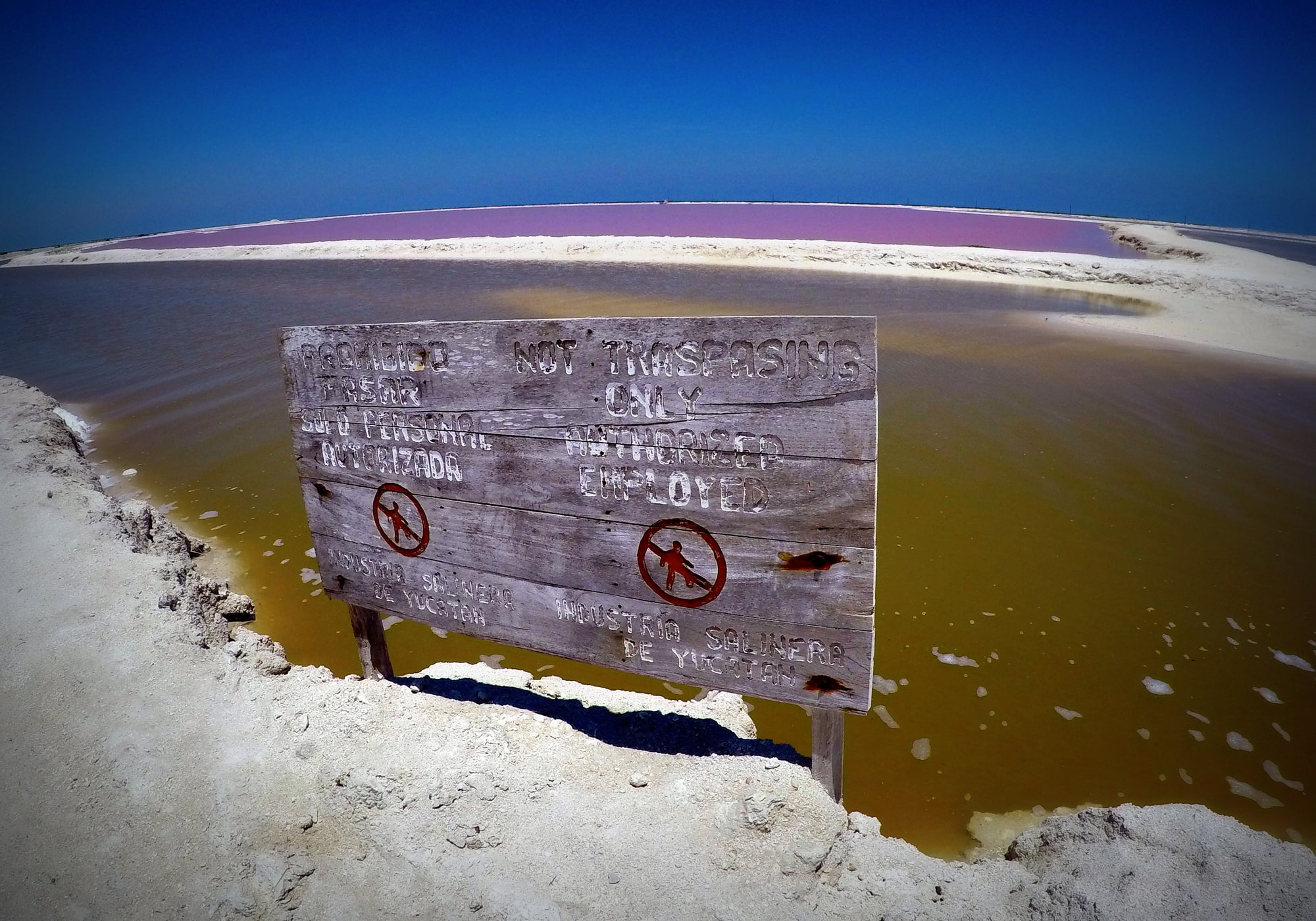Lagunas rosadas de Las Coloradas, Yucatán